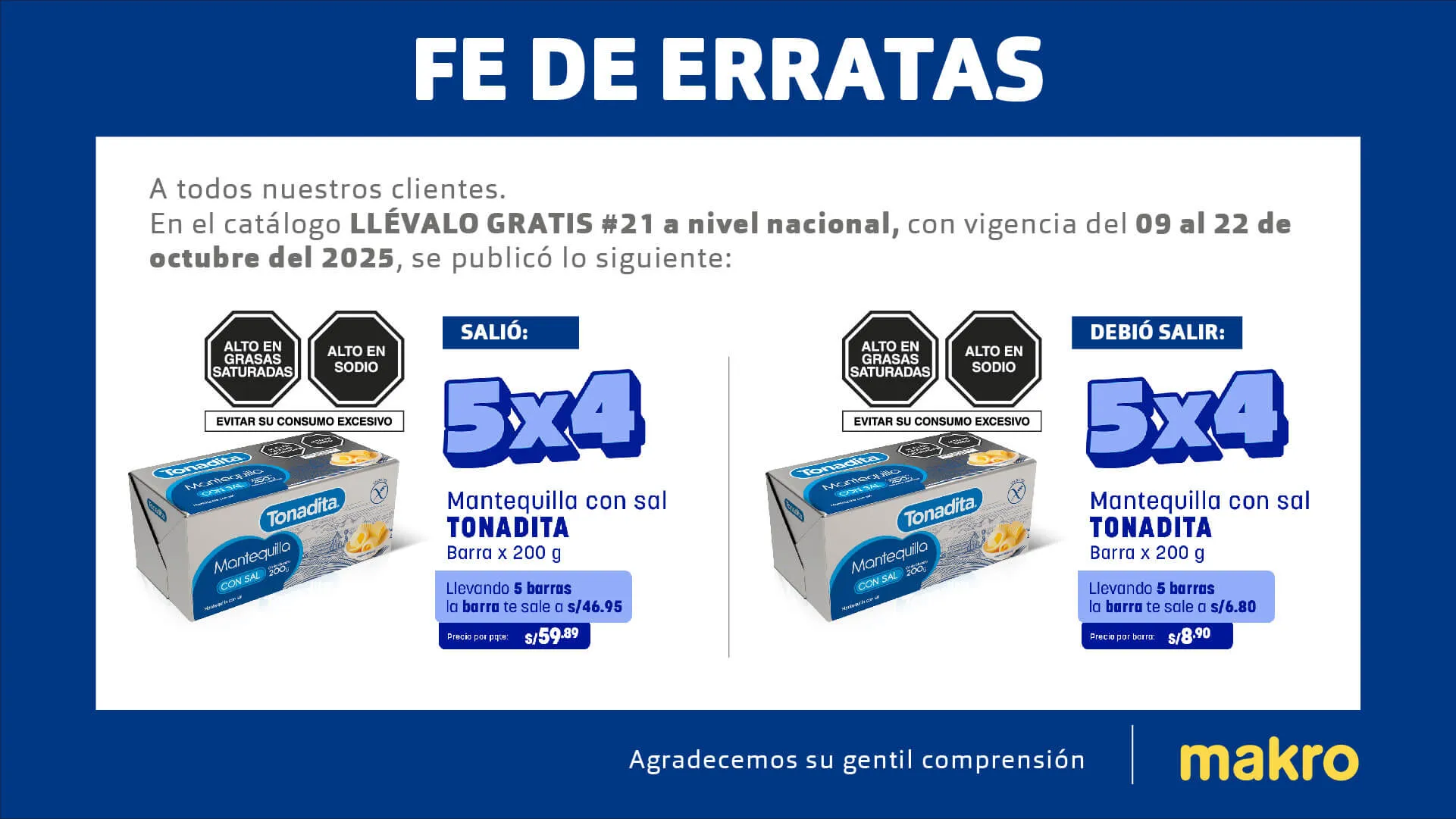 banner fe de erratas vig21