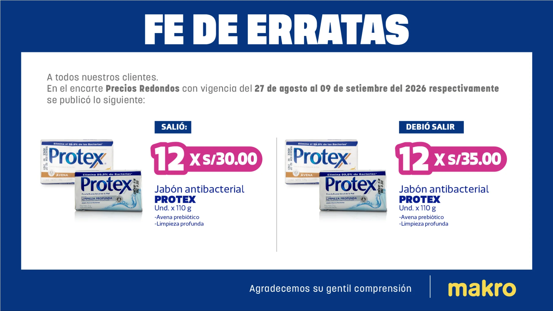 banner fe de erratas vig 18